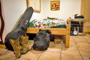 大学与狗窝在线观看,一场别开生面的在线观看之旅 第1张 大学与狗窝在线观看,一场别开生面的在线观看之旅 第1张